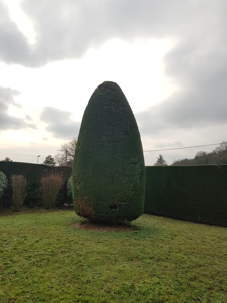 Entreprise taille haie Saint-Genis-Laval