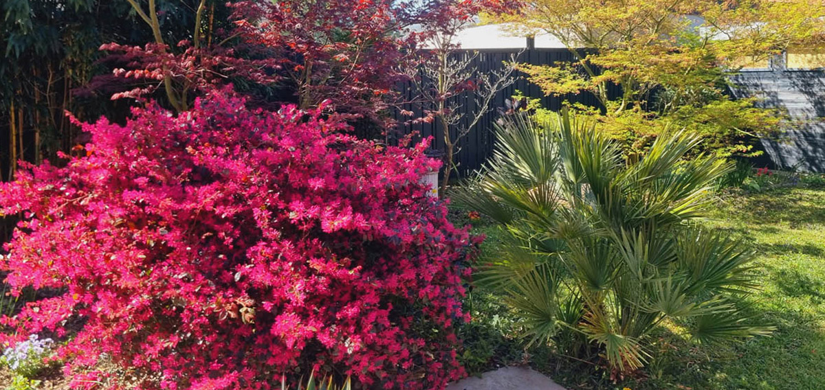 Entreprise débroussaillage Saint-Genis-Laval