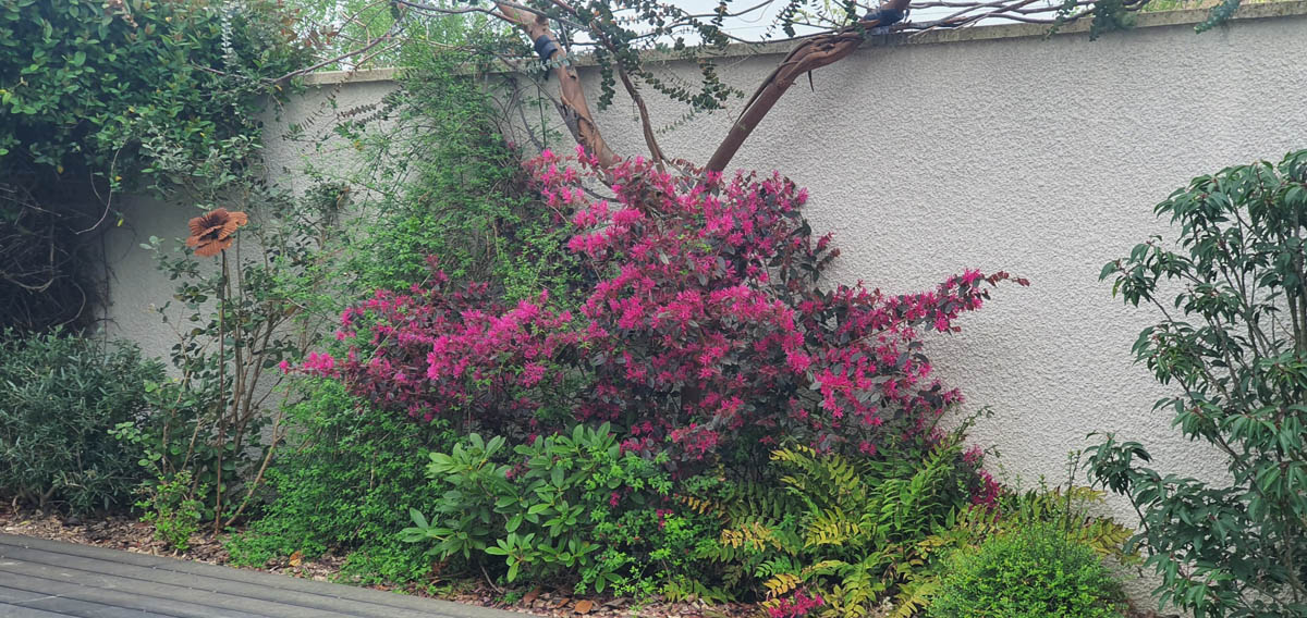 Entreprise débroussaillage Saint-Genis-Laval