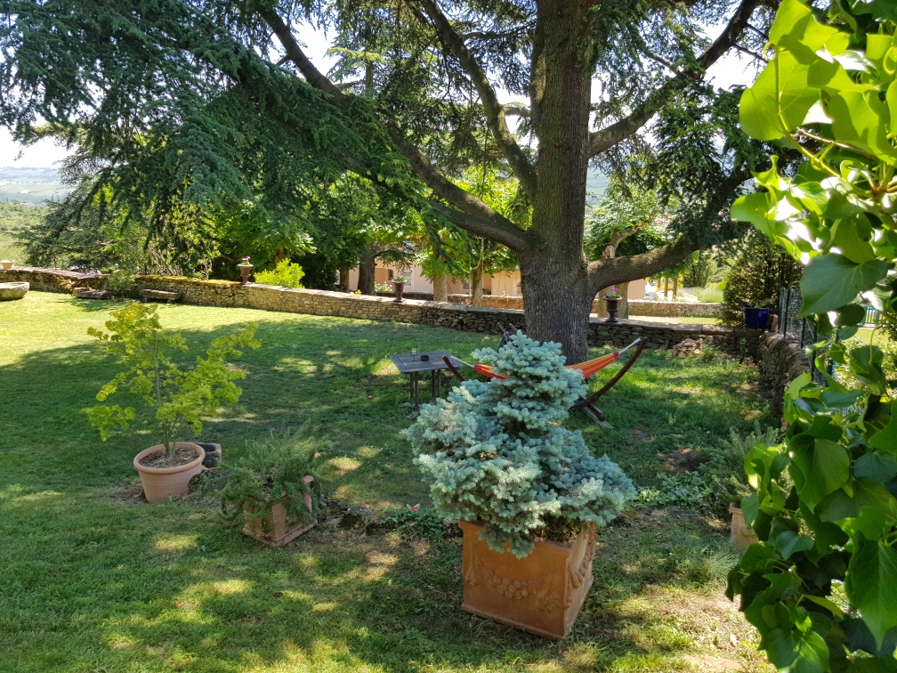 Entreprise entretien jardin Saint-Genis-Laval