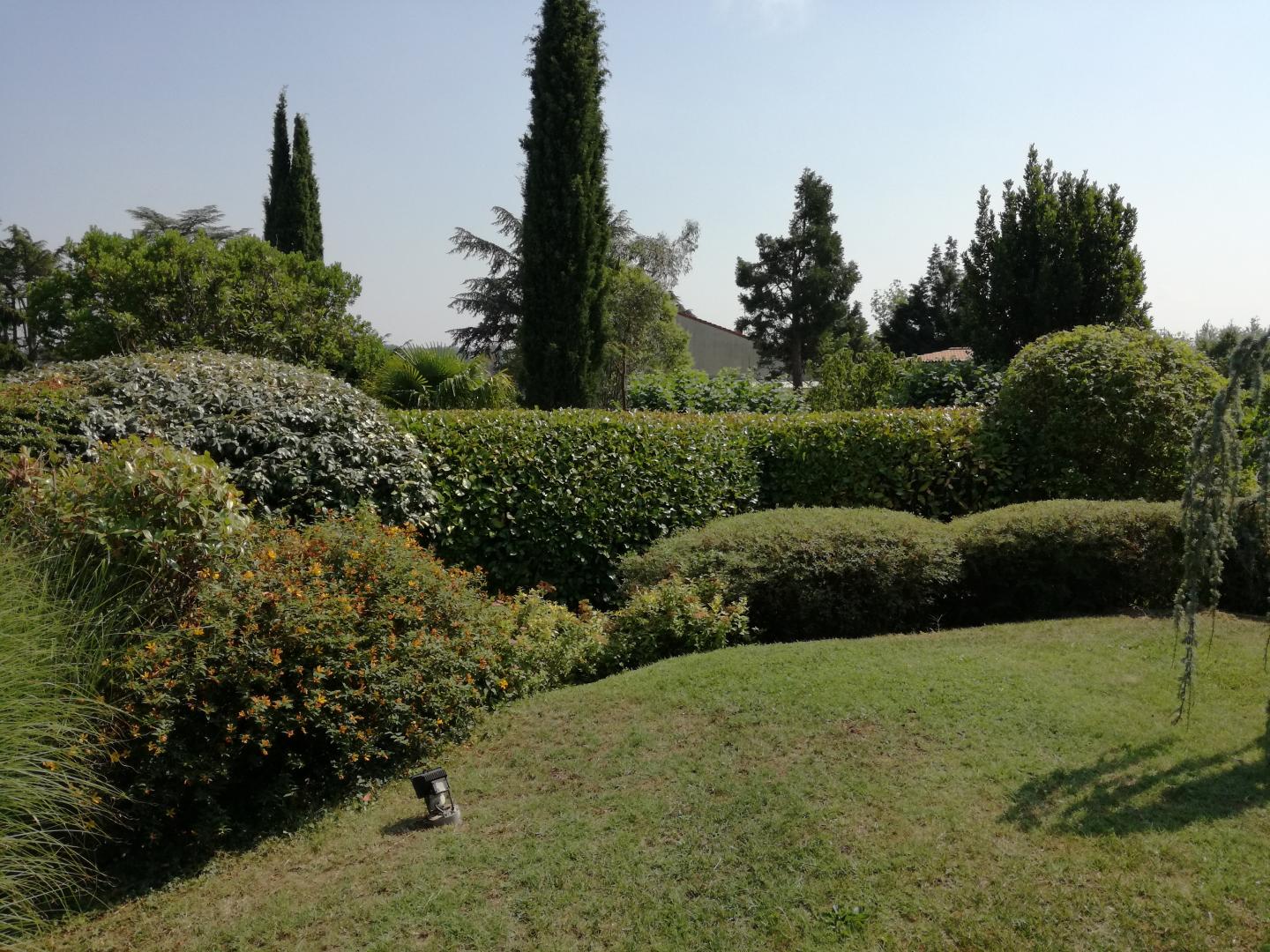 Service taille haie Saint-Genis-Laval