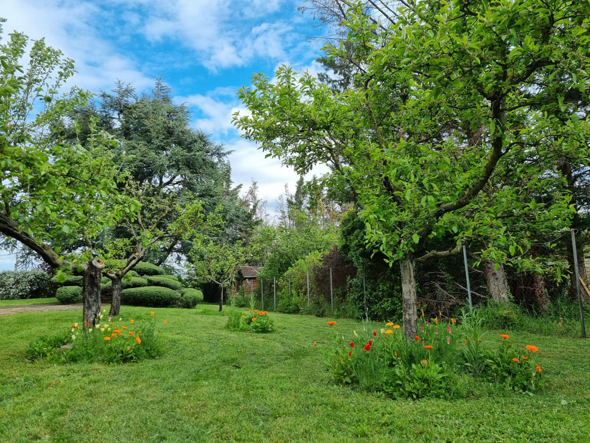 Entreprise débroussaillage Saint-Genis-Laval