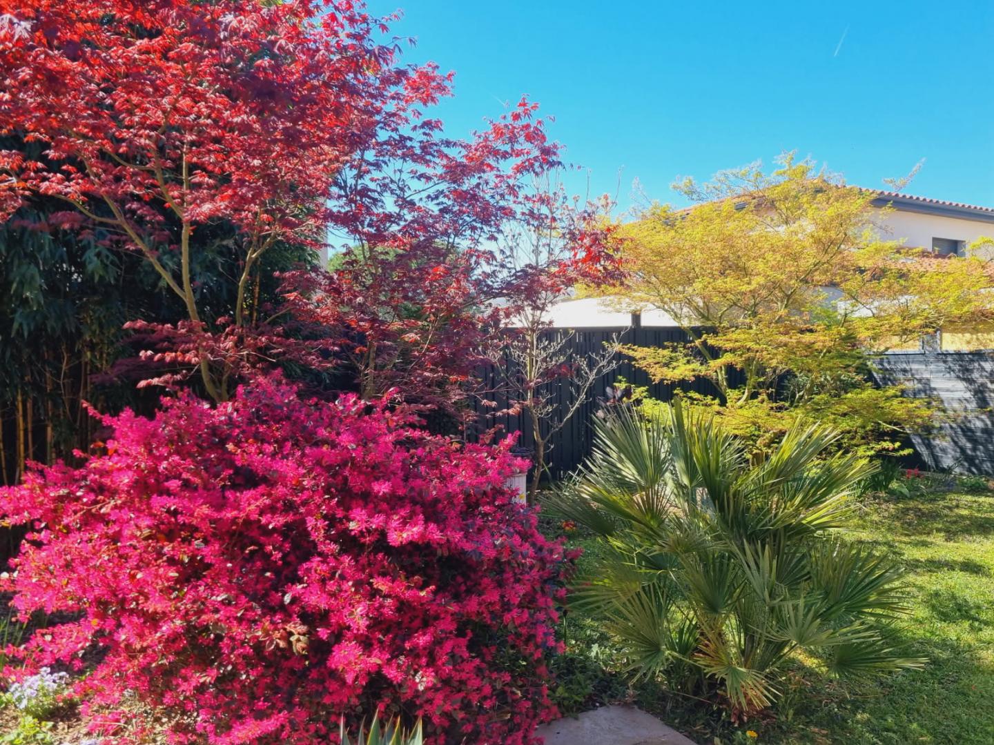 Entreprise taille haie Saint-Genis-Laval