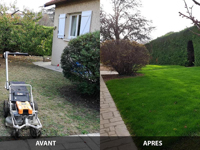 Jardinier paysagiste, Vernaison