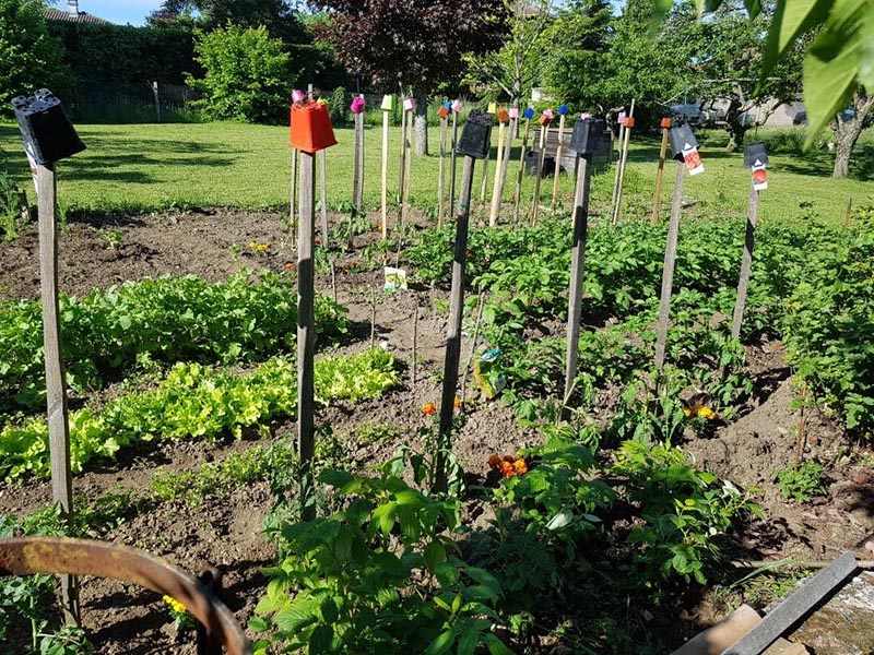 Entreprise entretien jardin, Chaponost