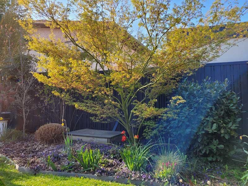 Entreprise entretien jardin Saint-Genis-Laval