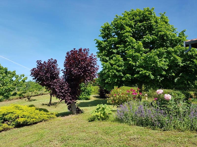 Entreprise entretien jardin, Irigny